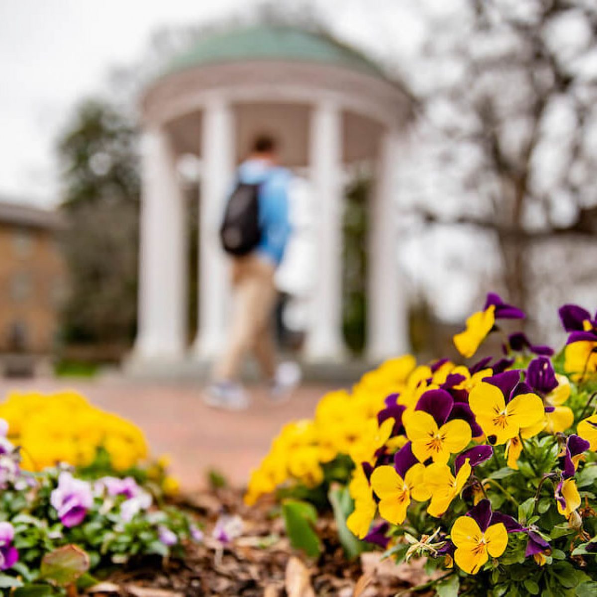 Student walks in front of the Old Well on the campus of UNC-Chapel Hill