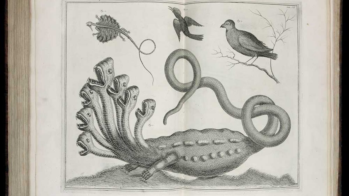 Engraving from the Florence Fearrington collection at UNC-Chapel Hill Libraries