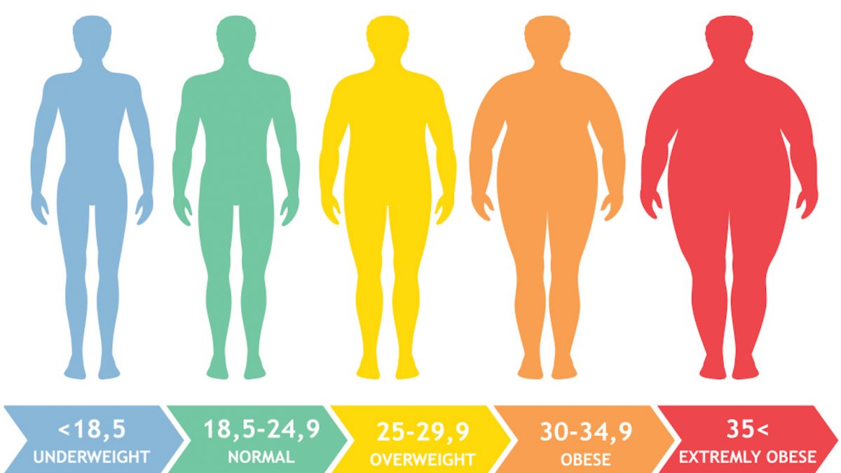 Body Mass Index CHart