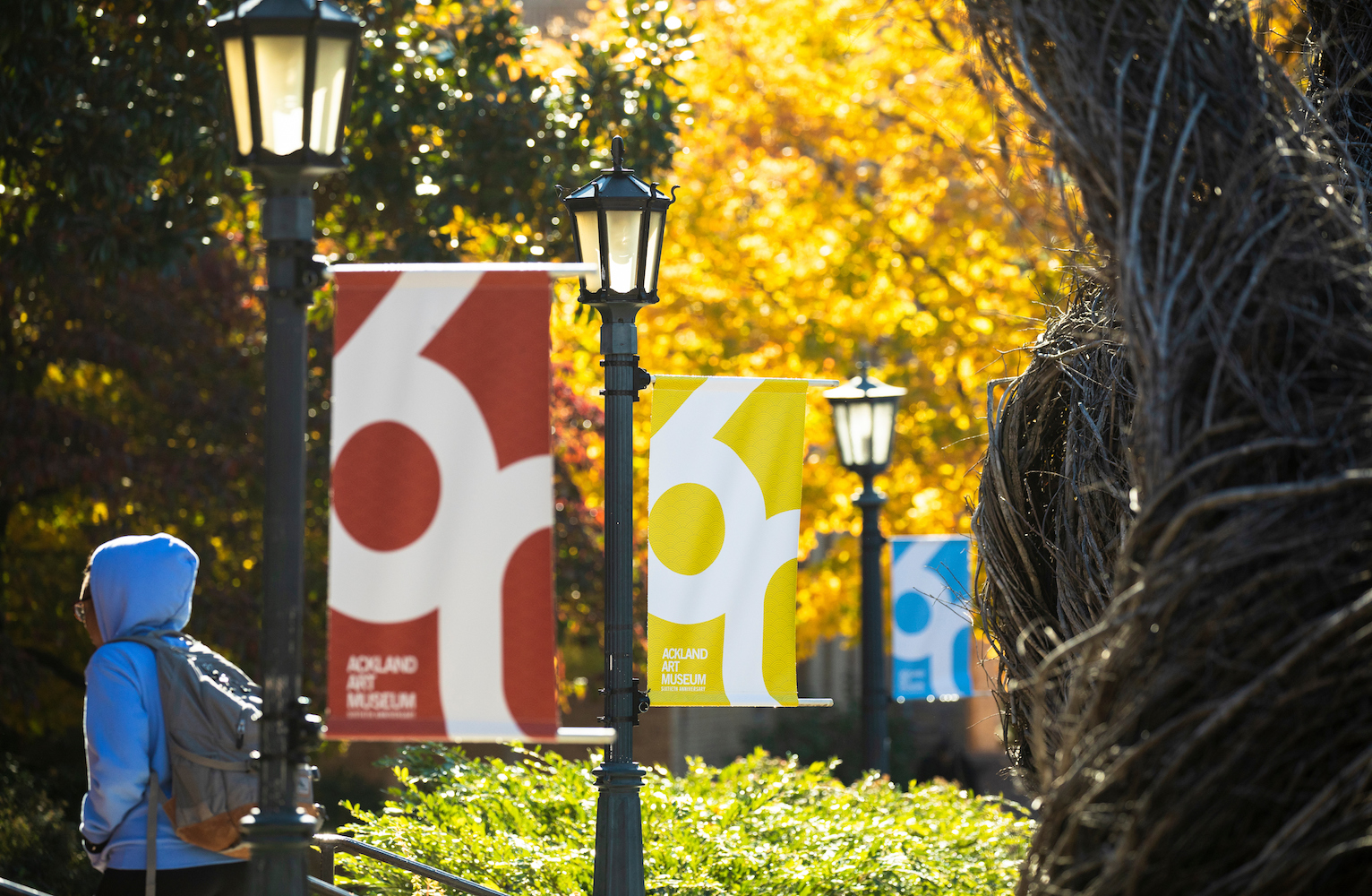 Hanging posters promoting the Ackland Art Museum