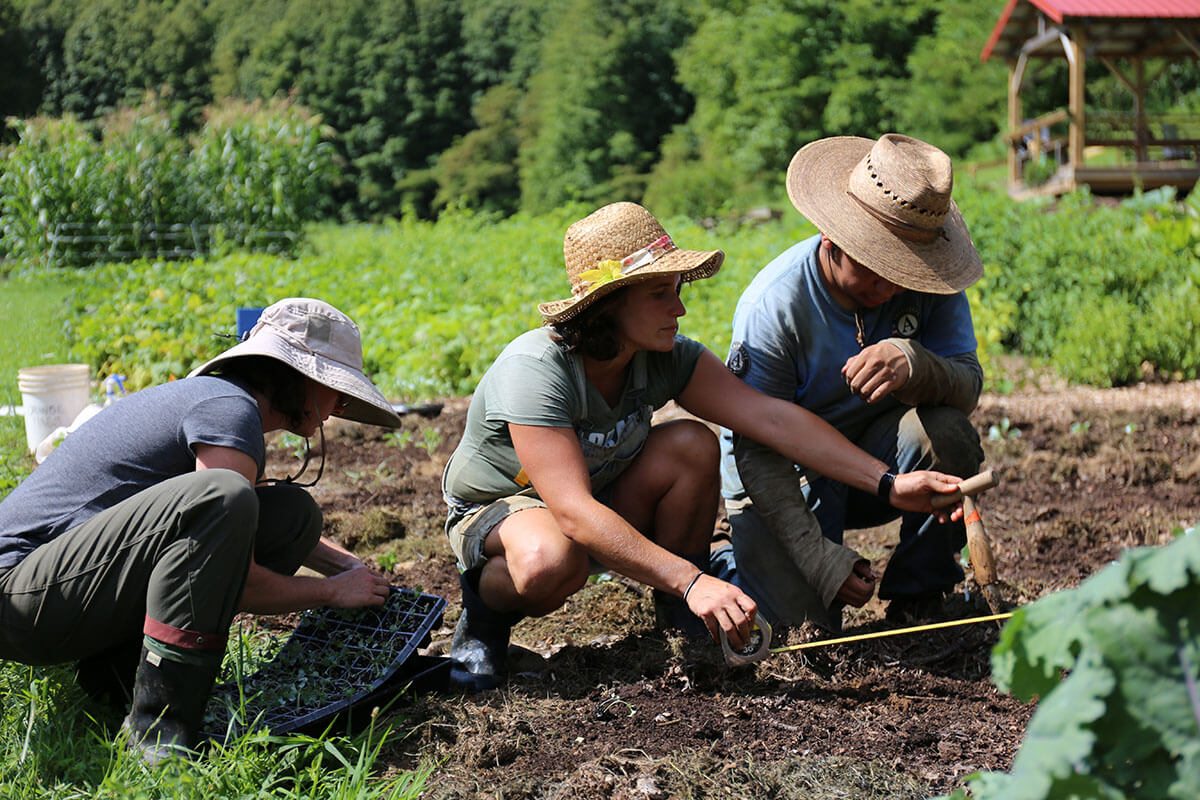 UNC MPH students squatting in the field of a community garden
