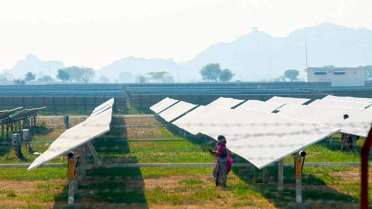 An Indian woman in a sari stands in a field of solar panels.