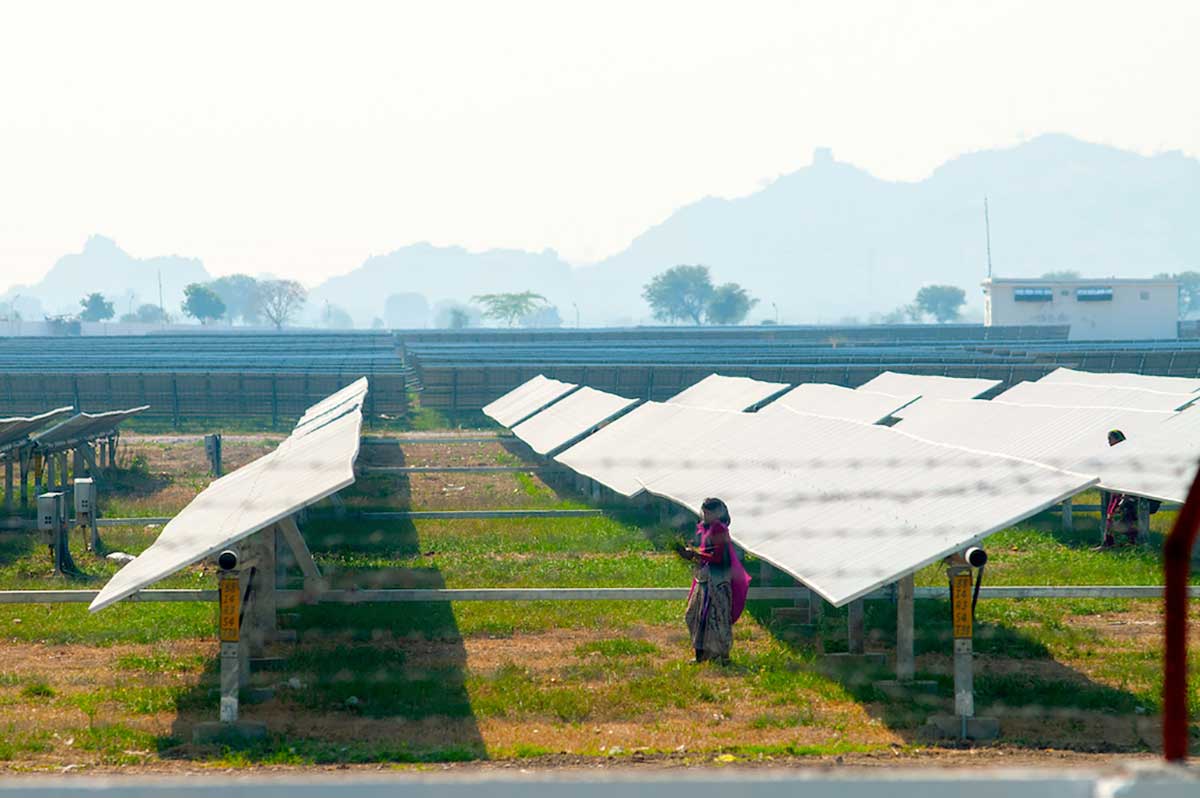 An Indian woman in a sari stands in a field of solar panels.