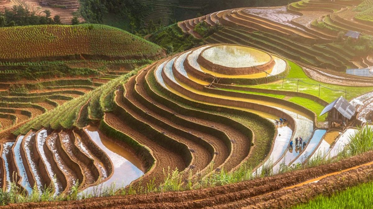 A hillside in vietnam