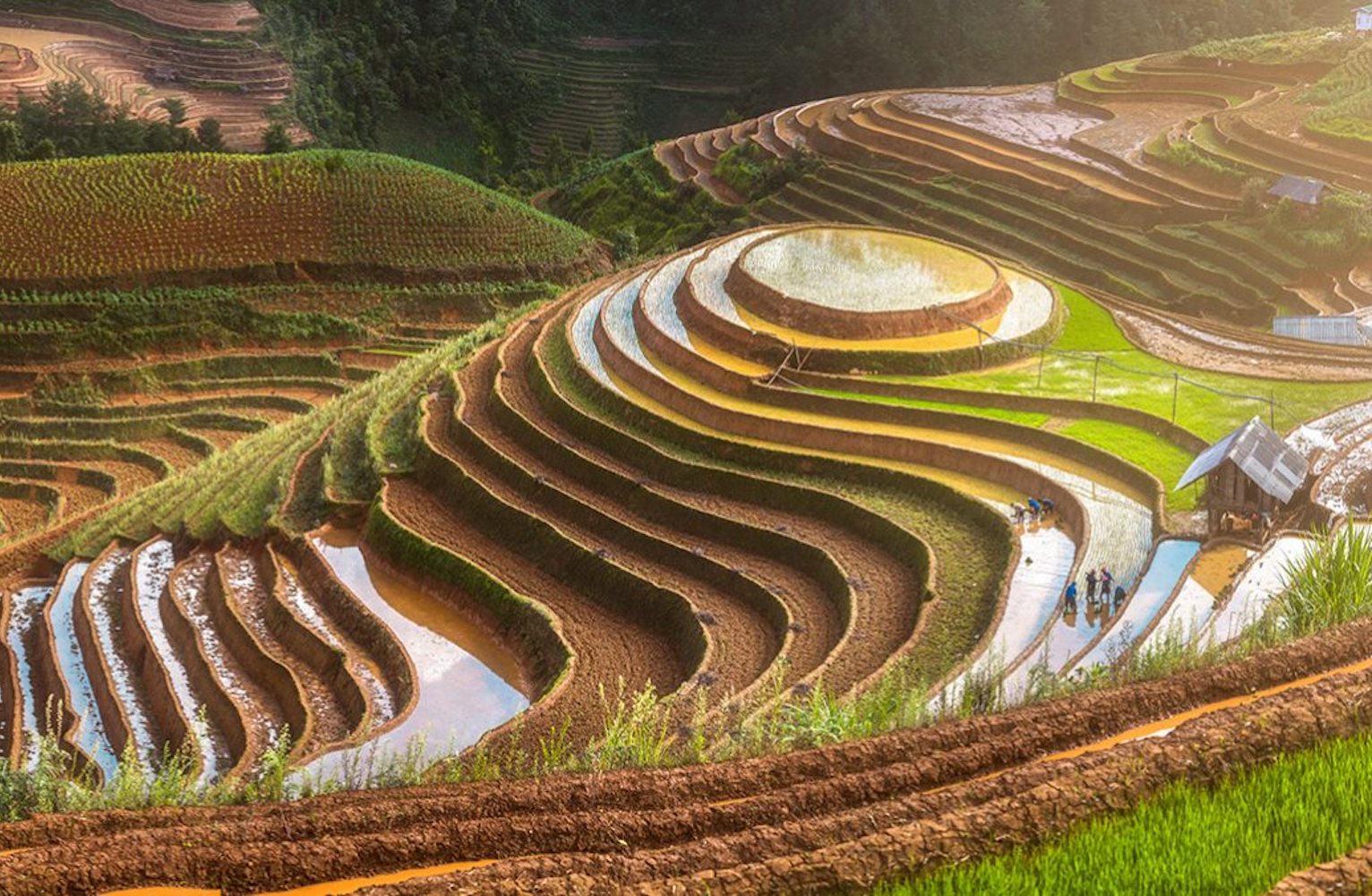 A hillside in vietnam