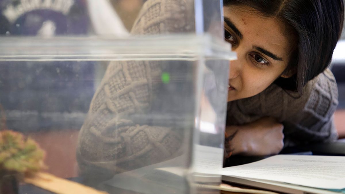 Student examines a specimen in a lab