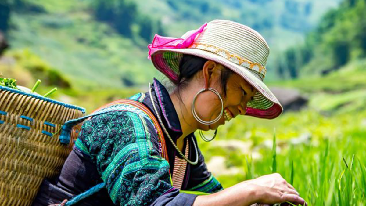 A woman works on a farm in Vietnam