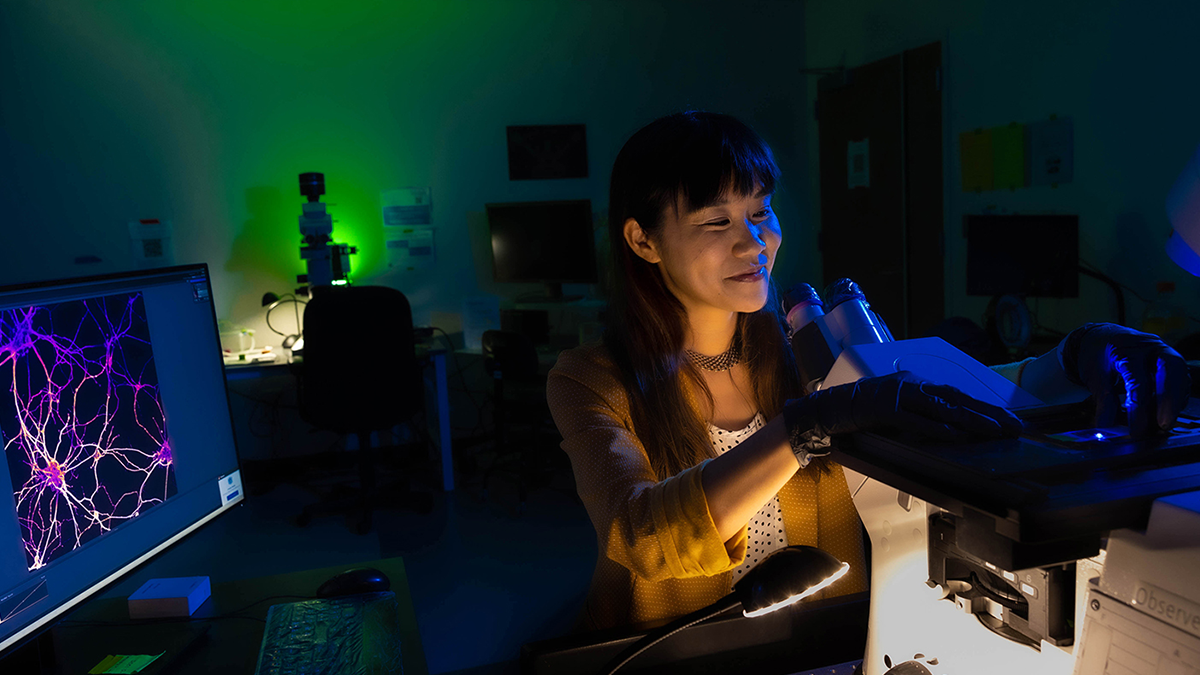 Michelle Itano works with microscopes in a lab