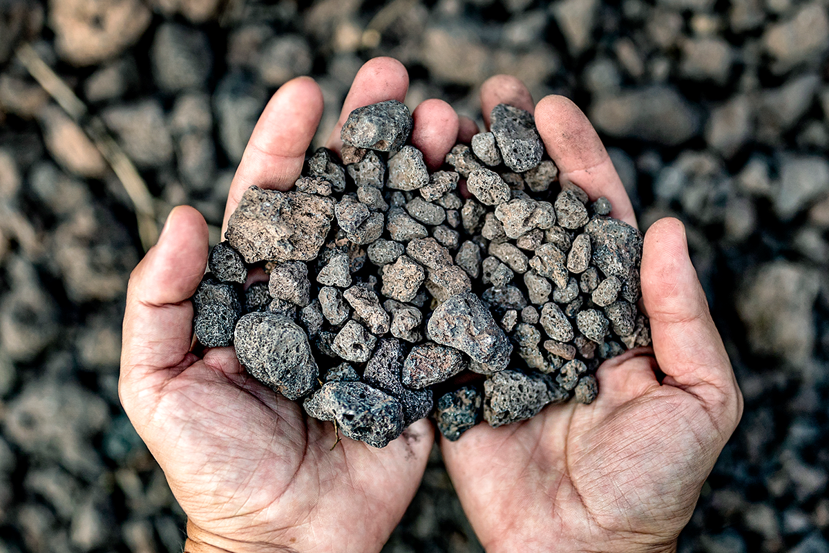 Hands hold a collection of rocks